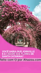 Frases lokas  Santa Catarina