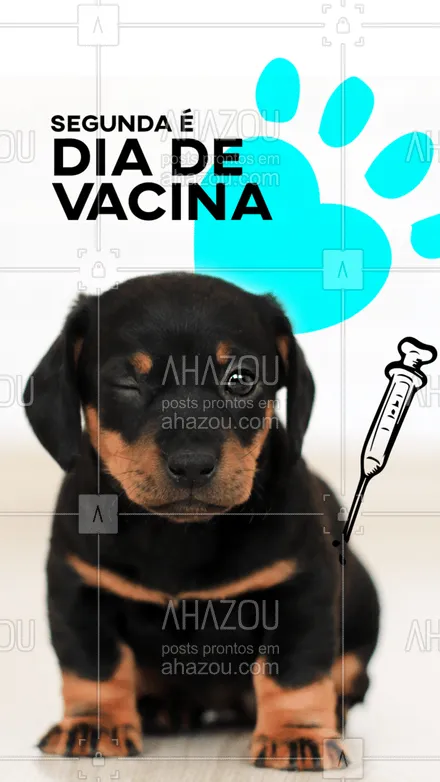 posts, legendas e frases de veterinário para whatsapp, instagram e facebook: Comece a semana cuidando da saúde do seu pet. Garanta já vacina dele e tenha uma ótima semana. #AhazouPet #vacina #veterinario #pet