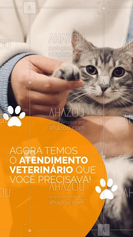 posts, legendas e frases de petshop para whatsapp, instagram e facebook: Agora temos atendimento veterinário! Preparados para cuidar do seu pet da melhor forma.
#Atendimento #AhazouPet #Veterinário