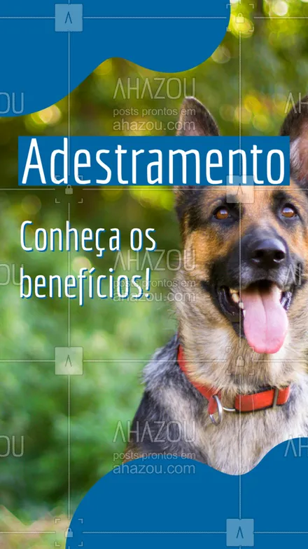 posts, legendas e frases de dog walker & petsitter para whatsapp, instagram e facebook: Os benefícios são: - Corrige comportamentos; - Torna seu cão mais sociável e tranquilo. #AhazouPet #adestramento #cachorro #racas #dogtraining