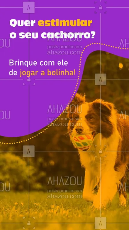 posts, legendas e frases de petshop, assuntos variados de Pets para whatsapp, instagram e facebook: A bola é um ótimo brinquedo para estimular a inteligência do seu cachorro. Uma das maneiras de inovar nessa brincadeira é fingir que joga a bola e depois escondê-la, assim o seu cão pensa que ela está ao alcance e passa a procurar a bolinha, treinando, inclusive, o seu olfato.
#brincadeirasparapet #AhazouPet #ilovepets  #instapet  #petshop  #petlovers  #petoftheday 