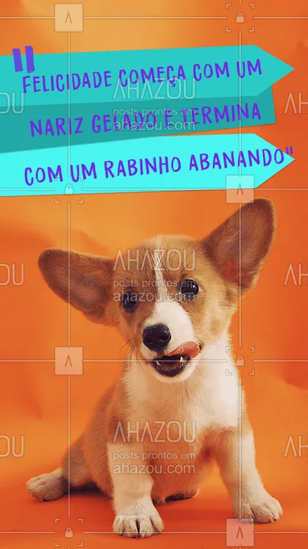 posts, legendas e frases de assuntos variados de Pets para whatsapp, instagram e facebook: Amo! #cachorro #ahazoupet #pet #animal