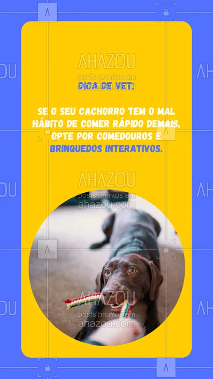 posts, legendas e frases de veterinário, assuntos variados de Pets para whatsapp, instagram e facebook: 🐶 Muitas vezes o cachorro só precisa de um pouco mais de desafio e os comedouros e brinquedos interativos são excelentes para isso. MARQUE ALGUÉM QUE PRECISA SABER DISSO. 😉

#AhazouPet #Cachorro #PaidePet #MãedePet #Cão #ComidaCachorro #DicasdePet #DicasCachorro #AlimentaçãoPet #Vet #Veterinario
