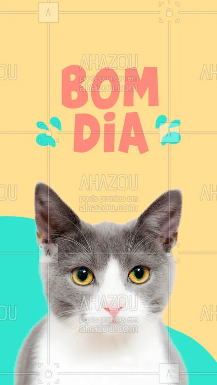 posts, legendas e frases de assuntos variados de Pets para whatsapp, instagram e facebook: Um excelente dia para todos ! 
#bomdia #ahazou #pets #gatos