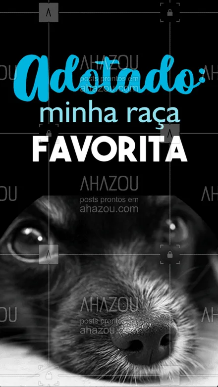 posts, legendas e frases de assuntos variados de Pets para whatsapp, instagram e facebook: Tem raça mais linda que essa? ❤️ #adoçao #ahazoupet #Pet #cachorro #raça
