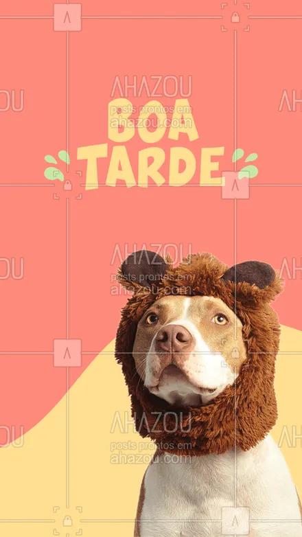 posts, legendas e frases de assuntos variados de Pets para whatsapp, instagram e facebook: Boa tarde para todos nós ! 
#dog #ahazou #boatarde