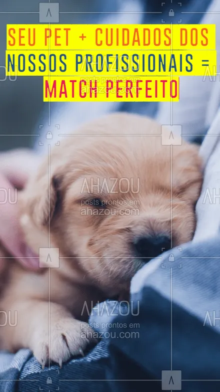posts, legendas e frases de assuntos variados de Pets para whatsapp, instagram e facebook: Esse match é sempre um sucesso! ? #matchperfeito #ahazoupet #pet