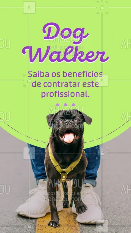 posts, legendas e frases de dog walker & petsitter para whatsapp, instagram e facebook: Profissional treinado que oferece um passeio qualitativo para o seu pet.
Para que o passeio seja divertido e seguro, o dog walker tem alguns "truques na manga" que fazem o passeio ser um sucesso.
Só assim o seu pet aproveita 100% os benefícios de um passeio ao ar livre.
#AhazouPet   #dogtraining  #dogwalk  #dogwalker  #doglover #pet #passeiopet