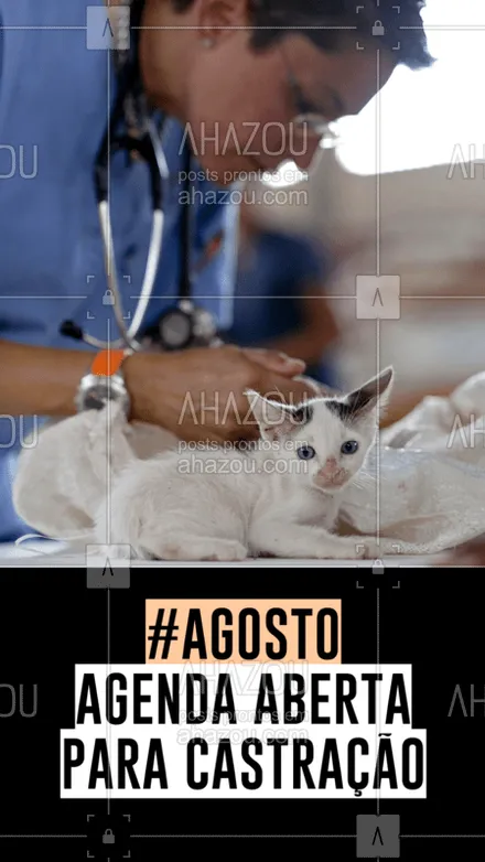 posts, legendas e frases de veterinário para whatsapp, instagram e facebook: A agenda para as cirurgias de castração estão abertas! Traga o seu pet para uma consulta! #veterinario #ahazoupet #castracao #agenda