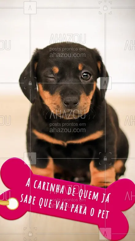 posts, legendas e frases de petshop para whatsapp, instagram e facebook: Agende um horário e traga seu amiguinho aqui! ? #ahazoupet #pet #cachorro