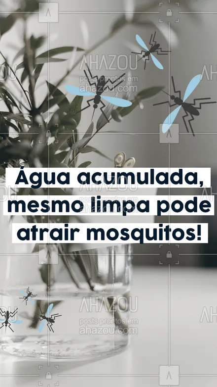 posts, legendas e frases de dedetizador para whatsapp, instagram e facebook: Quer evitar o aparecimento de mosquitos? Siga essa dica: Não deixe água acumulada em ralos, piscinas, calhas, vasos e pneus. Mesmo que a água esteja limpa, se estiver parada pode ser um criadouro para mosquitos. #AhazouServiços #mosquitos #pragas #controledepragas #águaparada #comoevitar #dicas