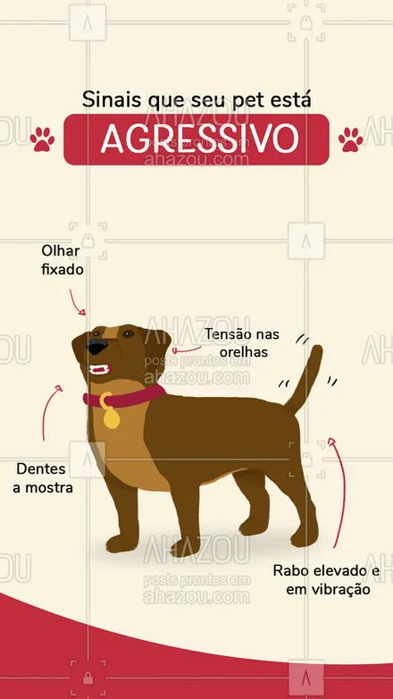 posts, legendas e frases de dog walker & petsitter para whatsapp, instagram e facebook: A linguagem corporal pode dizer muito sobre o estado de espirito do seu pet, saiba como decifra-las ? #pet #cachorro #AhazouPet #dogwalker #guia #dicas #agressivo