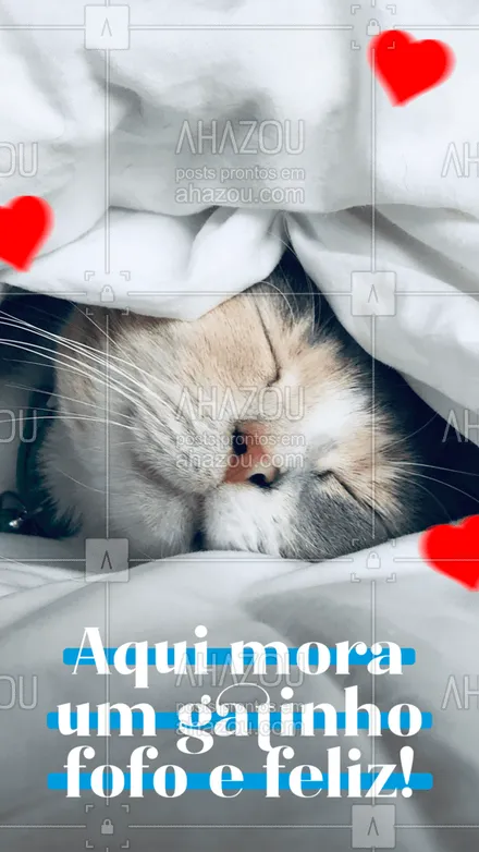posts, legendas e frases de assuntos variados de Pets para whatsapp, instagram e facebook:  E que recebe muito amor também! ?
#gatos #cats #petlovers #AhazouPet  #petsofinstagram #petoftheday