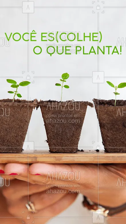 posts, legendas e frases de posts para todos para whatsapp, instagram e facebook: Que a gente tenha um bom dia, colhendo tudo de especial que plantamos!
#planta #ahazou #colher