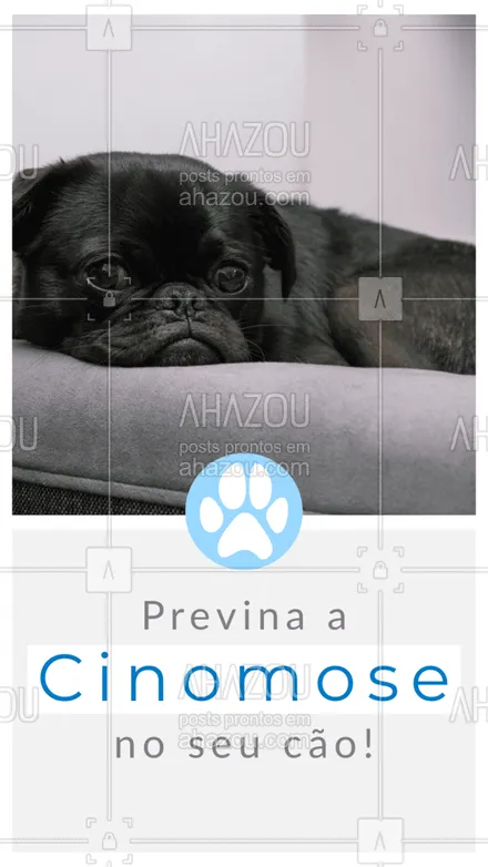 posts, legendas e frases de veterinário para whatsapp, instagram e facebook: A cinomose é uma doença grave que não possui cura, apenas tratamento dos sintomas!
Evite que seu cão seja infectado mantendo em dia a vacinação anual do seu cachorro.
A vacina que protege o seu pet está dentro do grupo V8 , V10 e V11.
Para mais informações agende uma consulta!
#AhazouPet #cinomose #cuidados #pet #veterinario #clinicaveterinaria #vacina