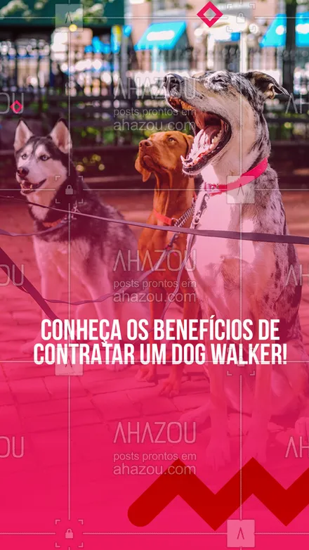 posts, legendas e frases de dog walker & petsitter para whatsapp, instagram e facebook: O serviço de Dog Walker vem crescendo no Brasil, e ele traz muitas vantagens para o seu cãozinho. Vamos ver? - Ajuda na saúde mental e física do seu animal - O passeio ao sol ajuda no sistema imunológico - Ajuda na conservação do peso e saúde 

Gostou? Entre em contato comigo! 

#AhazouPet #dogwalkersofinstagram #dogsitter #dogsofinstagram #petsitting #dogtraining #dogwalk #doglover #dogwalker #petsitter #dogdaycare #dogwalkerlife
