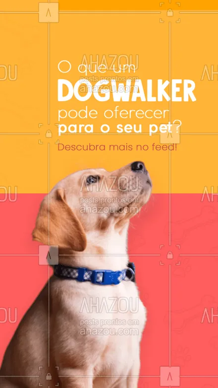 posts, legendas e frases de dog walker & petsitter para whatsapp, instagram e facebook: Cada dogwalker oferece serviços variados, mas de uma coisa você pode ter certeza: nunca será apenas um passeio! O profissional pode oferecer atividades, brincadeiras e até mesmo adestramento básico ao seu cãozinho.
#AhazouPet  #dogsofinstagram   #dogwalkersofinstagram   #dogtraining  #dogdaycare  #doglover  #dogsitter  #dogwalk  #dogwalker  #petsitter  #petsitting  #dogwalkerlife 