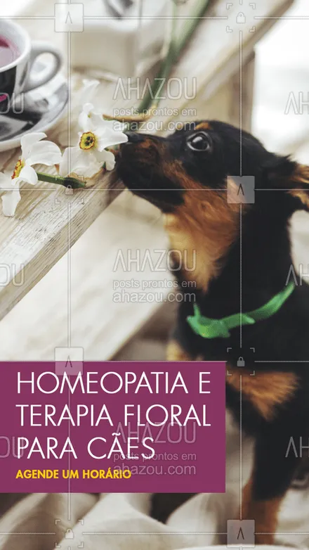 posts, legendas e frases de veterinário para whatsapp, instagram e facebook: Aqui o seu cãozinho recebe o melhor tratamento! Agende sua consulta. ? #homeopatiaveterinaria #ahazoupet #pets