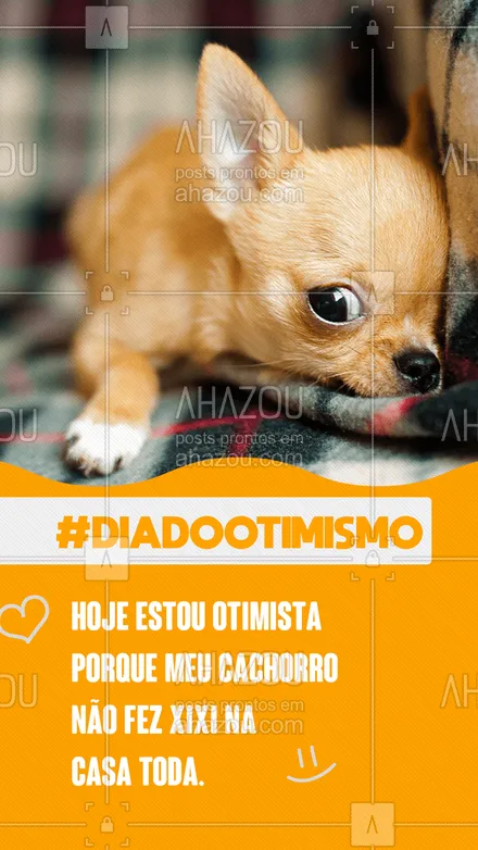 posts, legendas e frases de assuntos variados de Pets para whatsapp, instagram e facebook: Só pode ser um bom sinal.??
 #AhazouPet #otimismo #diadootimismo #frase #motivacional #amor #cao #cachorro