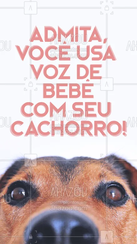 posts, legendas e frases de assuntos variados de Pets para whatsapp, instagram e facebook: Quem nunca? ? #cachorro #ahazoupet #pet #cao 