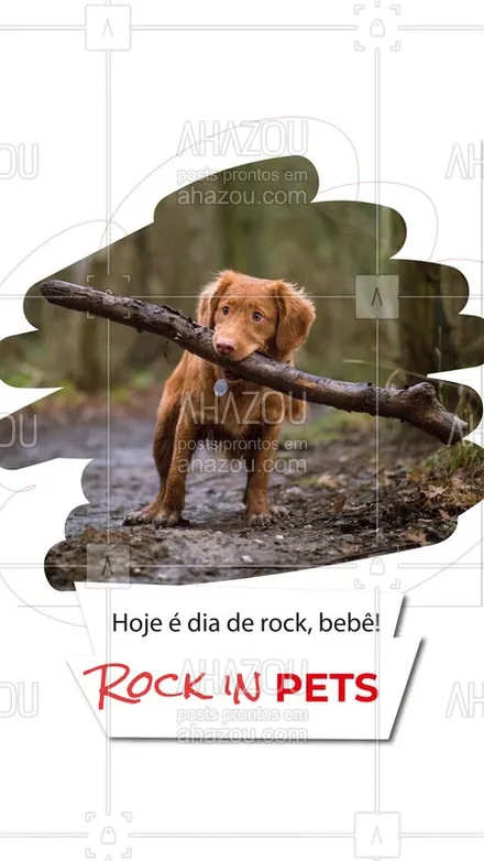 posts, legendas e frases de assuntos variados de Pets para whatsapp, instagram e facebook: Para entrar no clima do Rock in Rio! ?? #rockinrio #ahazoupet #pets