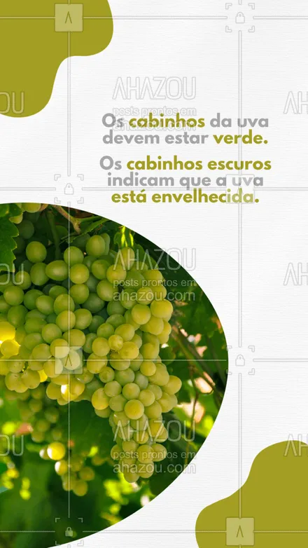 posts, legendas e frases de hortifruti para whatsapp, instagram e facebook: Atenção aos cabinhos das uvas.
#ahazoutaste #alimentacaosaudavel  #hortifruti  #mercearia  #organic  #qualidade  #vidasaudavel 