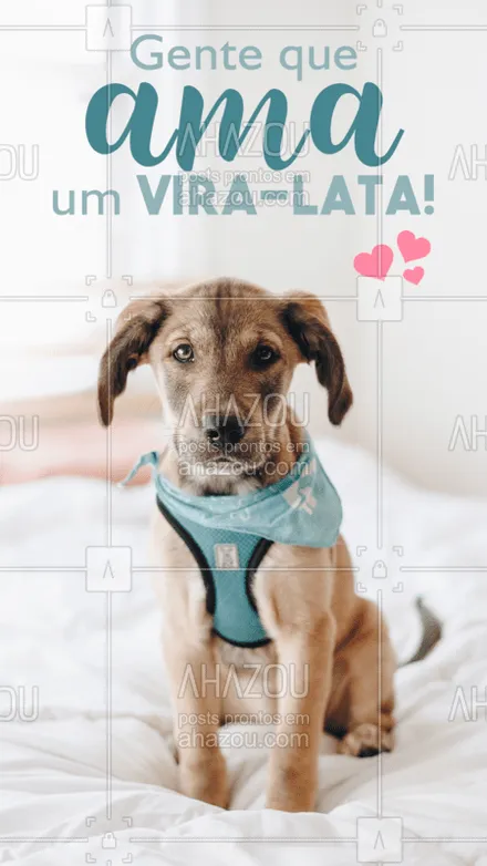 posts, legendas e frases de assuntos variados de Pets para whatsapp, instagram e facebook: Nós não vamos raça, nós vemos amor! #viralata #ahazou #petlover