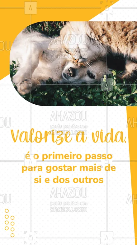 posts, legendas e frases de assuntos variados de Pets para whatsapp, instagram e facebook: Porque o amor cura! #AhazouPet #dogs #petoftheday #dogsofinstagram #cats #ilovepets #setembroamarelo