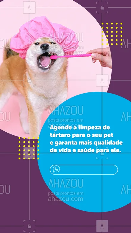 posts, legendas e frases de veterinário para whatsapp, instagram e facebook: O tártaro é muito nocivo para a saúde bucal do seu bichinho e é motivo de inúmeras doenças que prejudicam a qualidade de vida e alimentação do pet. Entre em contato e agende um horário. 🕝📲 #AhazouPet #clinicaveterinaria  #medicinaveterinaria  #medvet  #petvet  #vet  #veterinaria  #veterinarian  #veterinario 