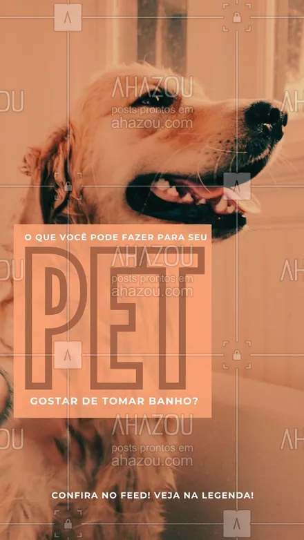 posts, legendas e frases de petshop, assuntos variados de Pets para whatsapp, instagram e facebook: Para que o cachorro se sinta confortável na hora do banho e não fique assustado, procure deixar essa ocasião mais divertida dando petiscos na hora de jogar água, fazendo carinho e brincando com ele, dessa forma ele terá mais prazer em tomar banho. 🐶😻#AhazouPet #banhoetosa  #petsofinstagram  #tosahigiênica  #dogs  #cats  #dogsofinstagram  #ilovepets  #instapet  #petlovers  #petshop 
