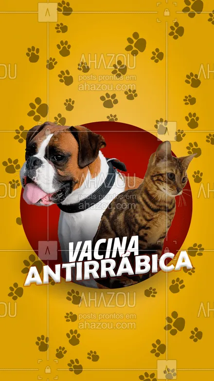 posts, legendas e frases de veterinário para whatsapp, instagram e facebook: Essa doença é quase 100% fatal na maioria dos casos, ela evolui muito rápido e em 7 dias o animal infectado morre. Graças a  vacina esse tipo de doença pode ser evitada, porém é necessário vacinar seu pet 1 vez por ano para garantir sua eficácia. 
#AhazouPet  #medicinaveterinaria #medvet #vetpet #veterinarian #veterinary #clinicaveterinaria #petvet #veterinario #vet #veterinaria