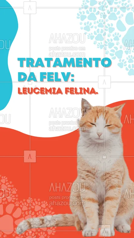 posts, legendas e frases de veterinário para whatsapp, instagram e facebook: O tratamento da é feito baseado na doença que o FeLV desencadeou. No caso dos tumores (linfoma e leucemia felina), são realizadas sessões de quimioterapias. Já as anemias podem ser tratadas com imunoestimuladores e antirretrovirais. Quer saber mais sobre o tratamento? Entre em contato conosco. 📲🐱  #FeLV #leucemiafelina #gatos #felinos  #AhazouPet #medicinaveterinaria  #clinicaveterinaria  #medvet  #petvet  #veterinaria  #vet  #veterinarian  #veterinario  #veterinary  #vetpet 