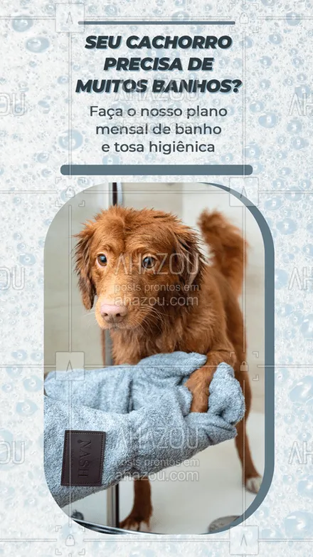 posts, legendas e frases de petshop para whatsapp, instagram e facebook: Além de se divertir brincando os dogs costumam sempre se sujar nessas horas, e um banho sempre é necessário, junto com o banho a tosa para que os peles do seu cachorro não se espalhe tanto na sua casa. Faça o seu plano mensal e garanta o conforto do seu cachorro e o seu também. ? #AhazouPet #instapet #banhoetosa #tosahigiênica #petshoponline #petshop #cachorro #banho #tosa #planomensal #sujeira #dogs #pets #limpeza #higiene #AhazouPet