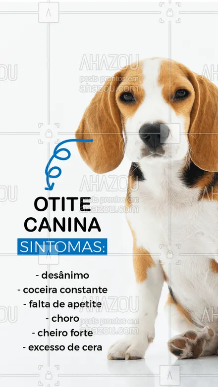 posts, legendas e frases de veterinário para whatsapp, instagram e facebook: Percebeu algum desses sinais no seu cachorro? ? Agende uma consulta! #veterinario #ahazoupet #otite #otitecanina #cachorro