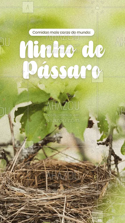 posts, legendas e frases de assuntos variados de gastronomia para whatsapp, instagram e facebook: Você não leu errado! Essa prática chinesa promete trazer benefícios para a saúde, uma vez que a saliva endurecida das aves é rica em ferro, cálcio, magnpesio e potássio! Você pode encontrar ninhos de pássaros comestíveis por até R$53 mil reais.
#ninhodepassaro #comidasmaiscaras #ahazoutaste #foodie  #culinaria  #foodlover  #gastronomia  #gastronomy  #instafood 