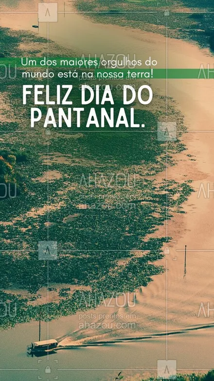 posts, legendas e frases de posts para todos para whatsapp, instagram e facebook: Ser brasileiro é contar com uma terra rica em diversidade bem aqui no nosso quintal! #ahazou #frasesmotivacionais  #motivacionais  #motivacional   #quote #diadopantanal