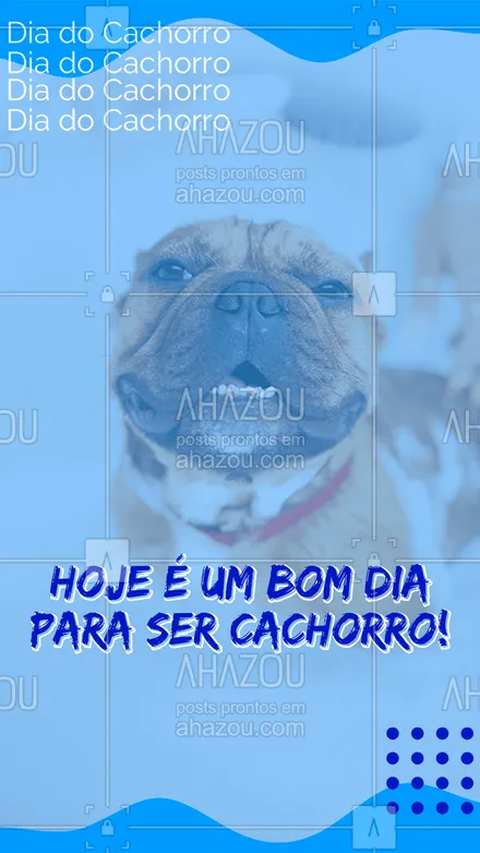 posts, legendas e frases de petshop para whatsapp, instagram e facebook: Banho + Tosa Especial para o seu cachorro curtir o dia dele bem cheiroso! Aproveite a promoção!
#BanhoTosa #AhazouPet #Promoção