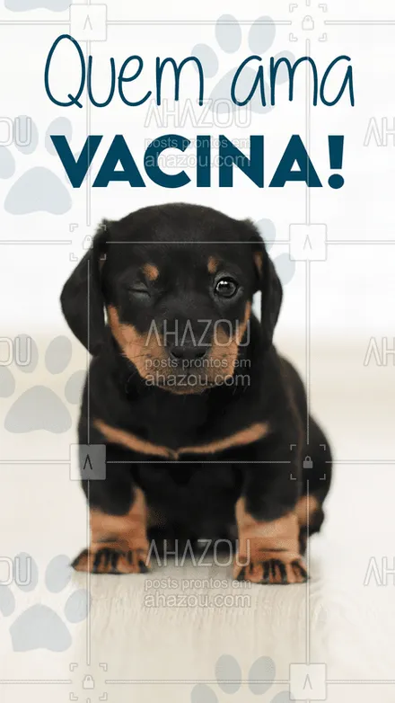 posts, legendas e frases de veterinário para whatsapp, instagram e facebook: Mantenha a vacina do seu pet em dia. Pois assim evita do seu amiguinho ficar doentinho! ❤ #ahazou #pet #saude #vacina