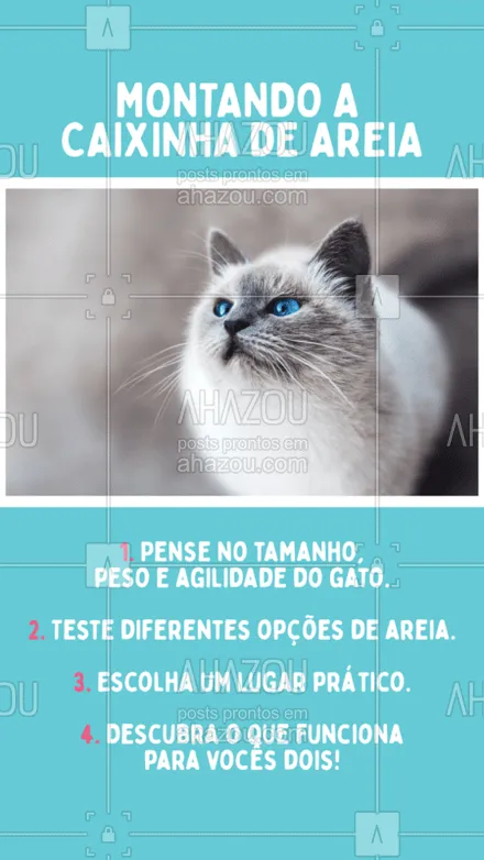 posts, legendas e frases de assuntos variados de Pets para whatsapp, instagram e facebook: Quais dicas você daria para quem é tutor de primeira viagem? #petlover  #petcare  #veterinario  #ahazou  #gato  #cat   #ahazoupet	
