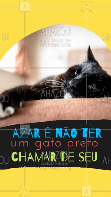 posts, legendas e frases de assuntos variados de Pets para whatsapp, instagram e facebook: Quem concorda? ????? #gatopreto #ahazou #petlover