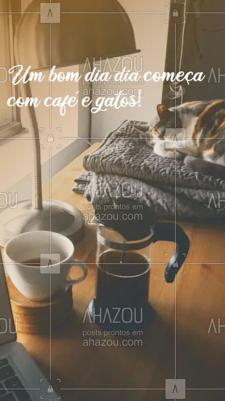 posts, legendas e frases de assuntos variados de Pets para whatsapp, instagram e facebook: Bom dia!!!?Bora levantar, tomar um bom café e afagar seu gatinho! #ahazou #petlovers #catlovers #bomdia