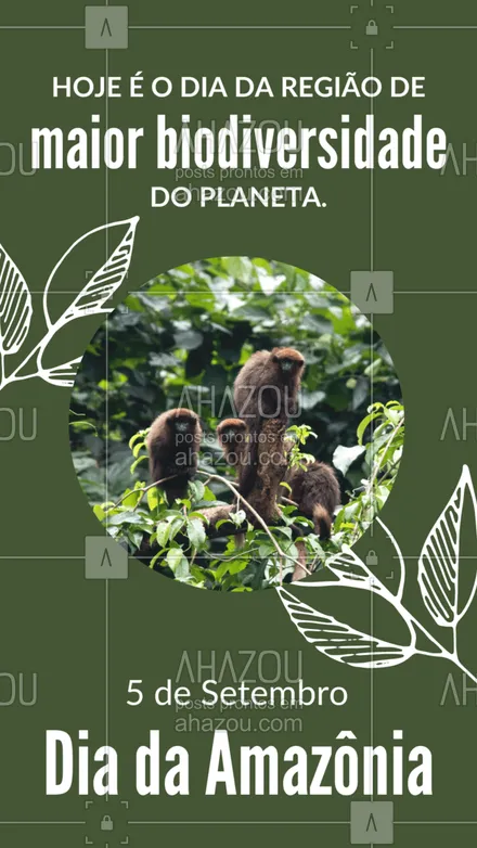 posts, legendas e frases de posts para todos para whatsapp, instagram e facebook: Região incrível, onde não falta diversidade. Feliz Dia da Amazônia!💚 #diadaamazônia #amazônia #florestaamazônica #floresta #ahazou