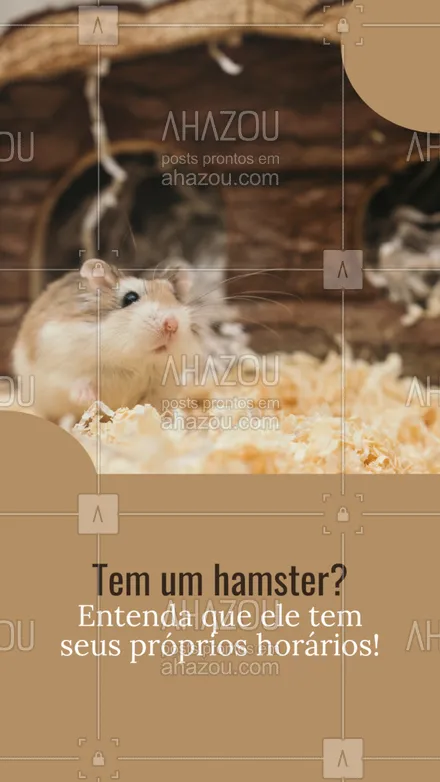 posts, legendas e frases de petshop, veterinário para whatsapp, instagram e facebook: Os hamsters são animais noturnos e mais ativos após as seis horas da tarde. Acordá-lo de manhã pode deixá-lo estressado, por isso, para ter um hamster mais feliz, respeitar os horários fisiológicos é muito importante! 😉
#AhazouPet #hamster  #petshop  #instapet  #medvet  #petvet  #vet  #veterinario 