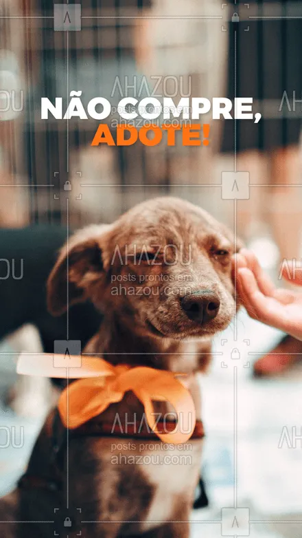 posts, legendas e frases de assuntos variados de Pets para whatsapp, instagram e facebook: A adoção de animais é um ato de amor! ? #pet #adoção #ahazou #nãocompre #amor