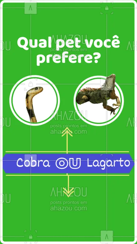 posts, legendas e frases de assuntos variados de Pets para whatsapp, instagram e facebook: Já escolheu seu preferido? #stories #animal #pet #ahazou #cobra #lagarto