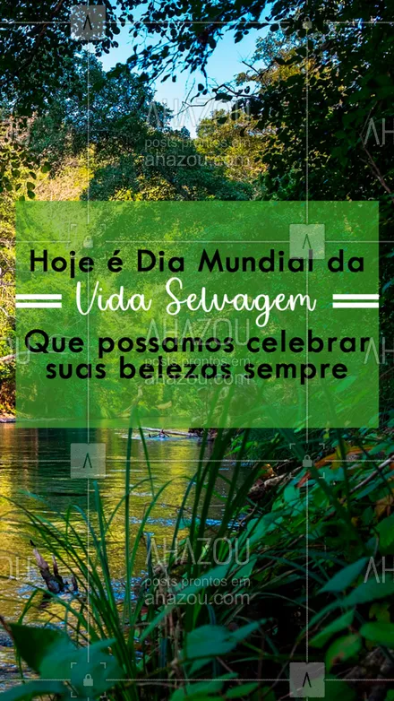 posts, legendas e frases de posts para todos para whatsapp, instagram e facebook: Como você celebra a biodiversidade? ?

#DiaMundialdaVidaSelvagem #VidaSelvagem #3Março #Ahazou
