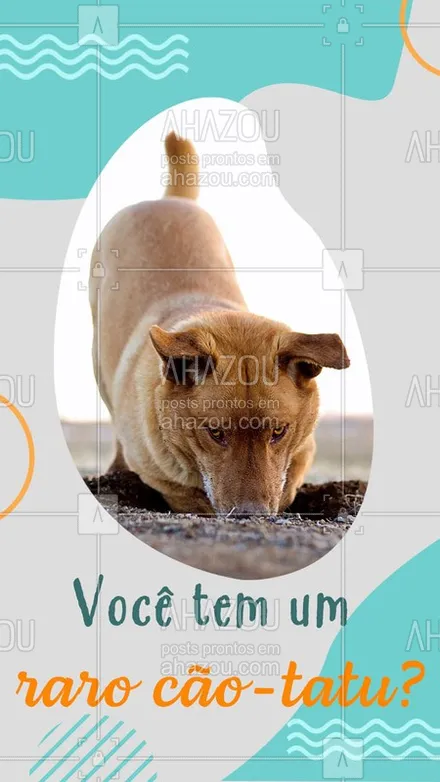 posts, legendas e frases de petshop para whatsapp, instagram e facebook: Se você tem um cão-tatu ?, fique tranquilo (a), aqui ele fica limpo de novo! #ahazoupet #banho #cachorro #pet