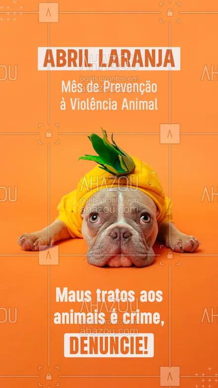 posts, legendas e frases de posts para todos para whatsapp, instagram e facebook: Segundo dados da Delegacia Eletrônica de Proteção Animal (DEPA) da Secretaria da Segurança Pública, entre 2020 e 2021 as denúncias de maus-tratos aumentaram 15,60%, chegando a 16.042 casos, além disso, estima-se que no Brasil existam 30 milhões de animais abandonados, por isso a importância do mês de conscientização! 😉
#ahazou #abrillaranja #maustratos #direitosdosanimais #animais #pets