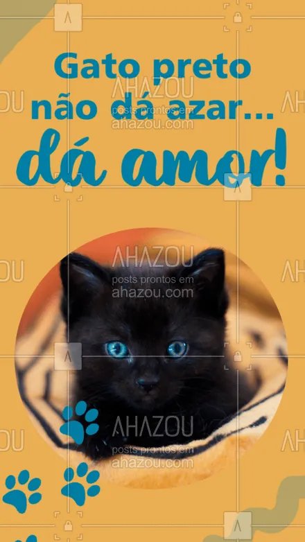 posts, legendas e frases de assuntos variados de Pets para whatsapp, instagram e facebook: É só amor ? Quem tem um gatinho preto comenta aqui o nome dele ou dela! #gatopreto #ahazoupet #gato 