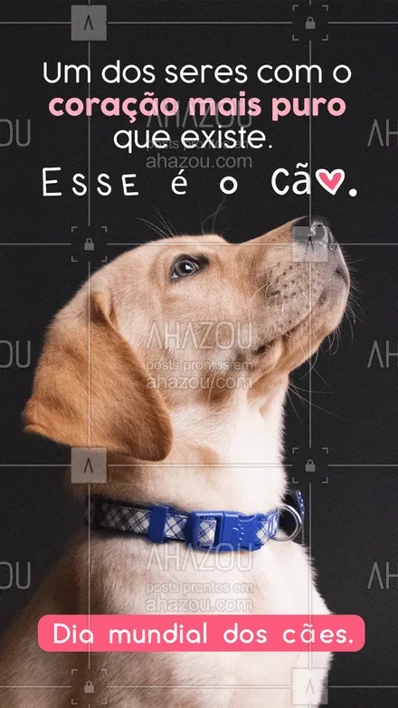posts, legendas e frases de assuntos variados de Pets para whatsapp, instagram e facebook: Pureza no coração e alegria no latido. Feliz Dia Mundial dos Cães!🐶🎉 #diamundialdoscães #cães   #AhazouPet  #dogs #petlovers